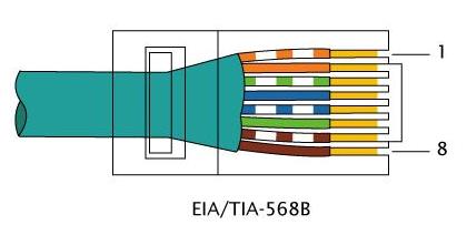 9 TIA_EIA 568B Termination Pattern.jpg